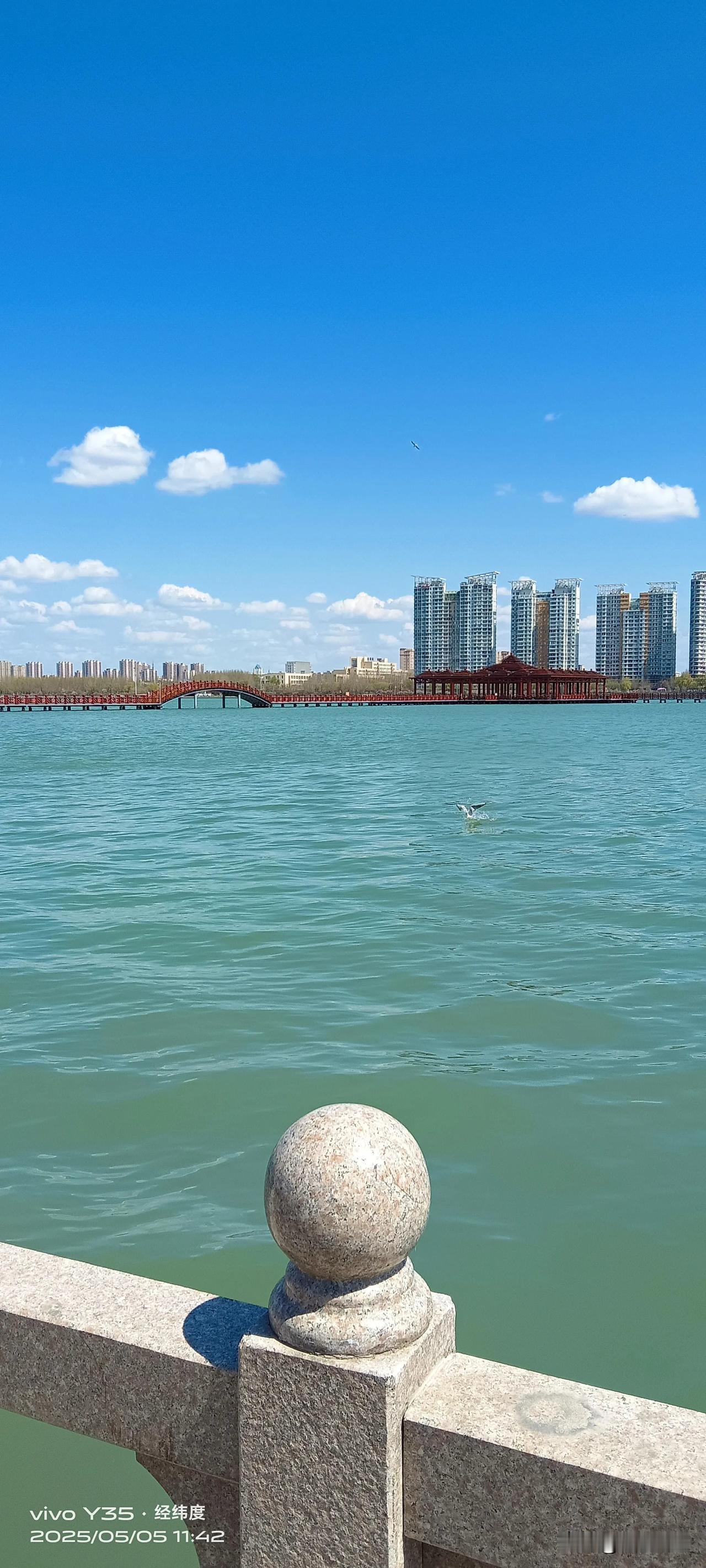 师友们，你们发现了吗？现实生活中那些身体看着不太好，靠着长年吃药或住院治疗的人活