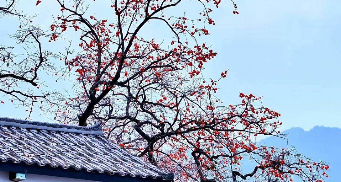 只有长期主义者，才能赢得未来！这句话听起来简单，却像一把钥匙，打开了成功与失败的