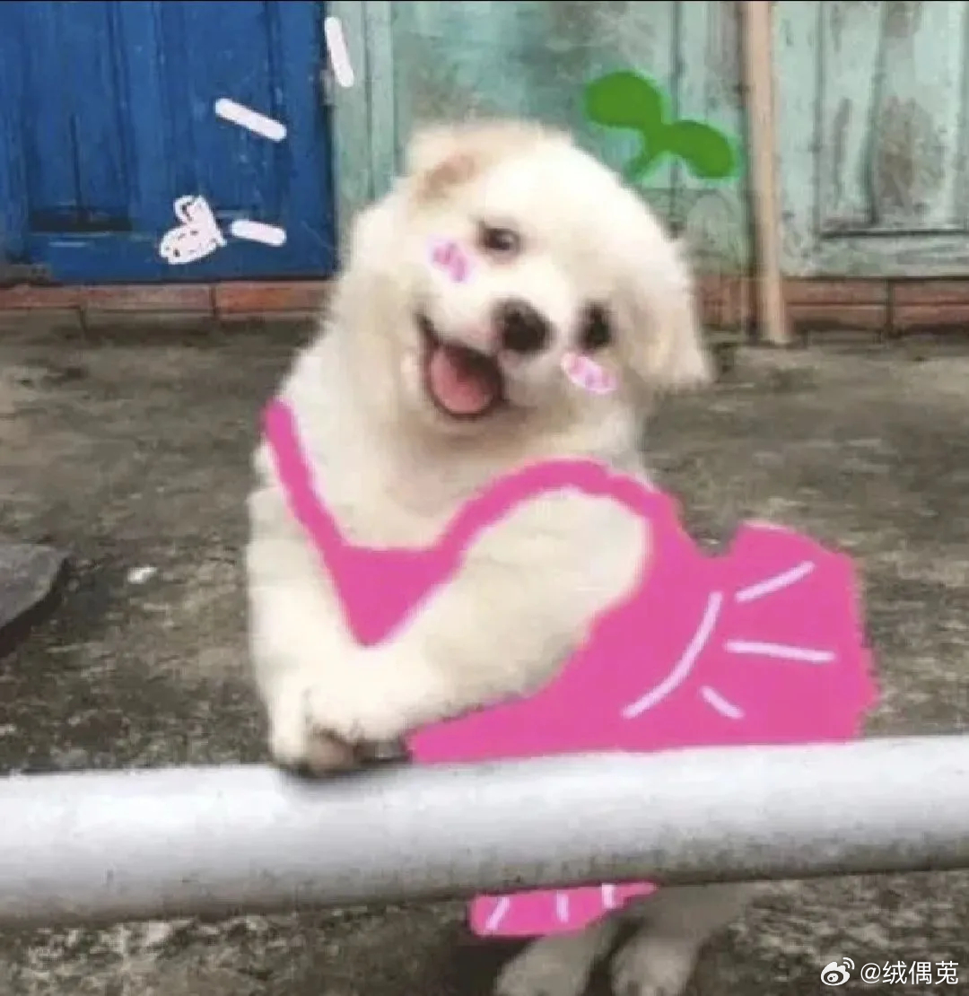 大家端午安康呀！ 