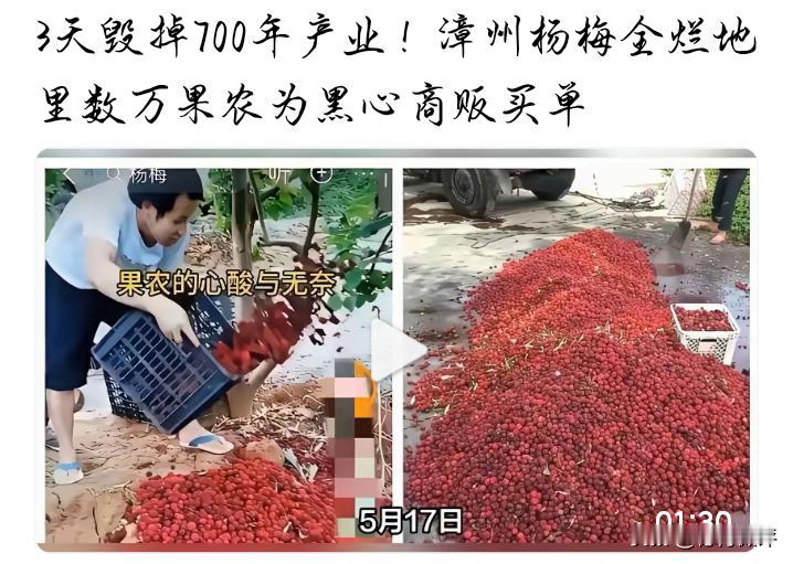 应该没有人相信这次漳州杨梅事故是第一次。这么多年来，毒杨梅事件屡屡发生，也只是今