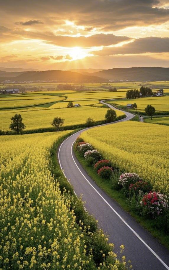 人真的不能太闲，
闲久了，心就慌了。
看似安逸自在，
其实是在慢慢消耗自己。
没