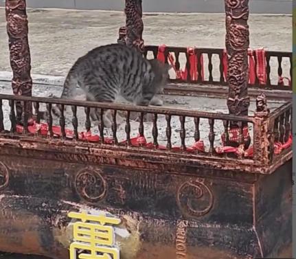 寺庙里的灰，也能偷？福建两男子3个月扒了446斤，被判8个月。不偷金不偷银，专偷
