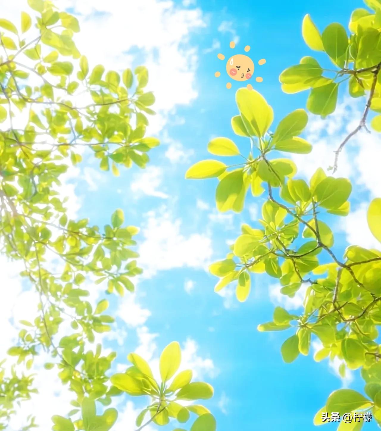 为什么越来越多人不想上班？
原因很简单，大家都不是傻瓜嘛。
 
不是年轻人变懒了