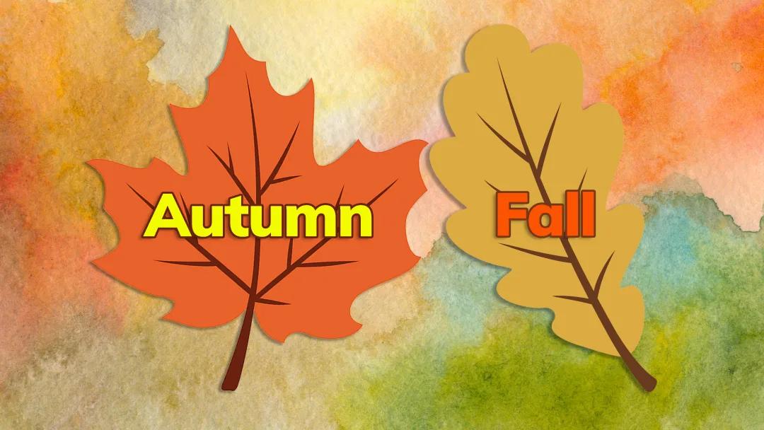英国人称秋天为“Auturmn”，美国人为什么称秋天为“Fall”？


“Fa