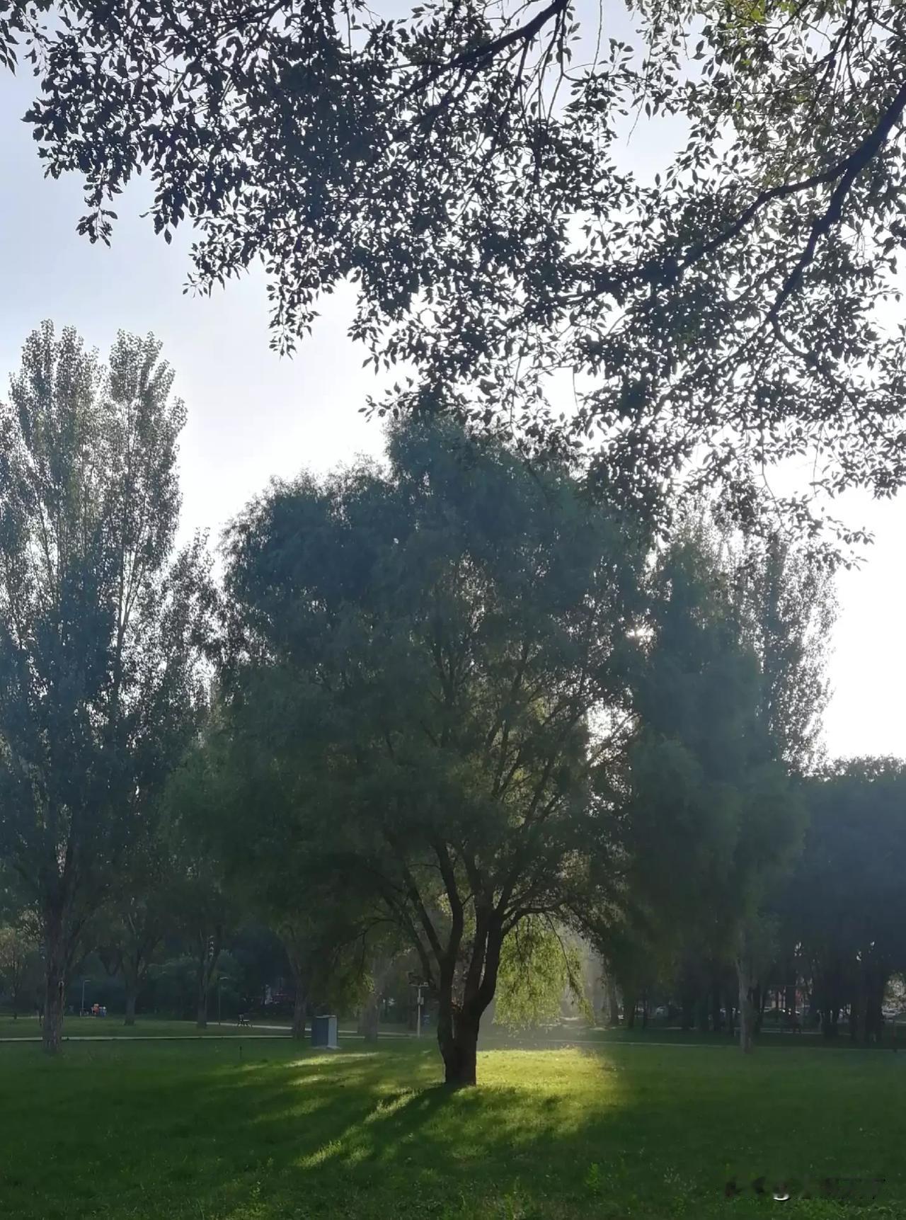 炒股日常：主力又把筹码还给了市场
持仓股三连阳连续拉升，吸引了市场热度之后，果断