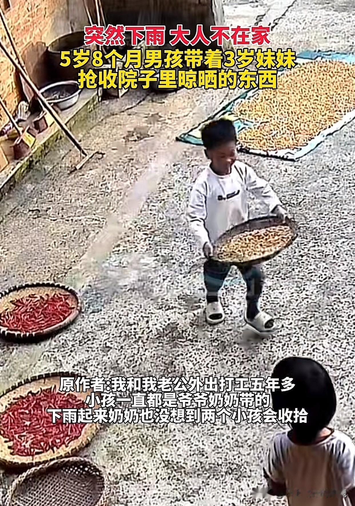 “其实细想挺揪心的！”云南一五岁男孩看天阴了，立马带着妹妹冲出去收玉米和辣椒。小