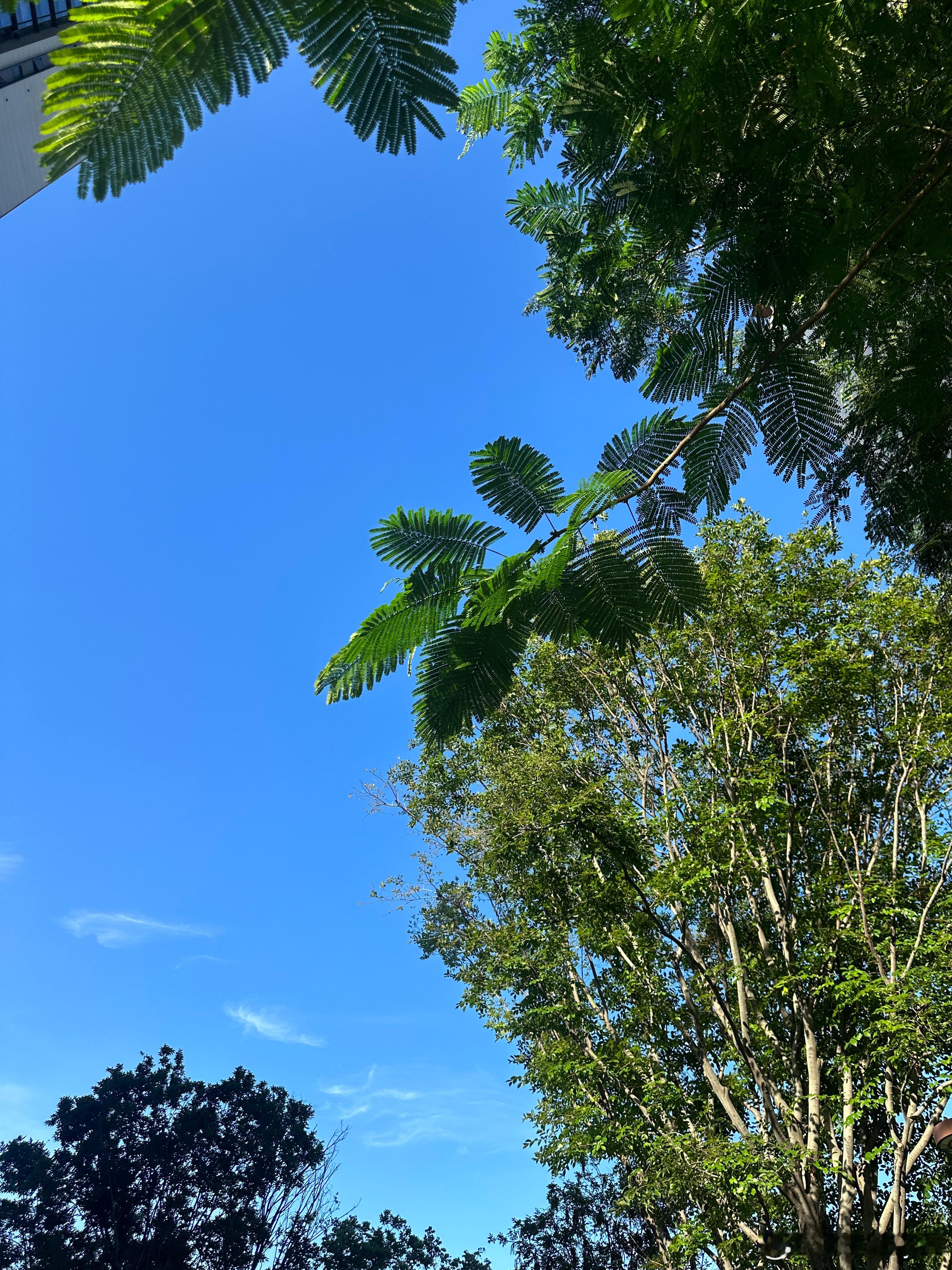 像云朵收集晨光般柔软把琐碎日子过成诗篇📜早安，今日宜温柔破茧～ 