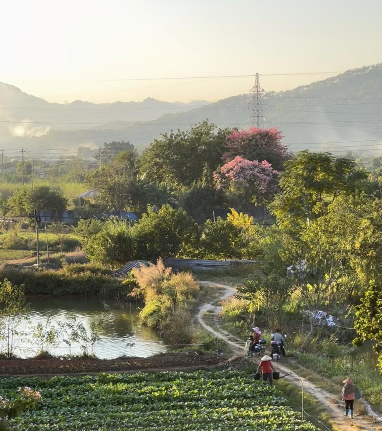 分享一张绝美的风景照片