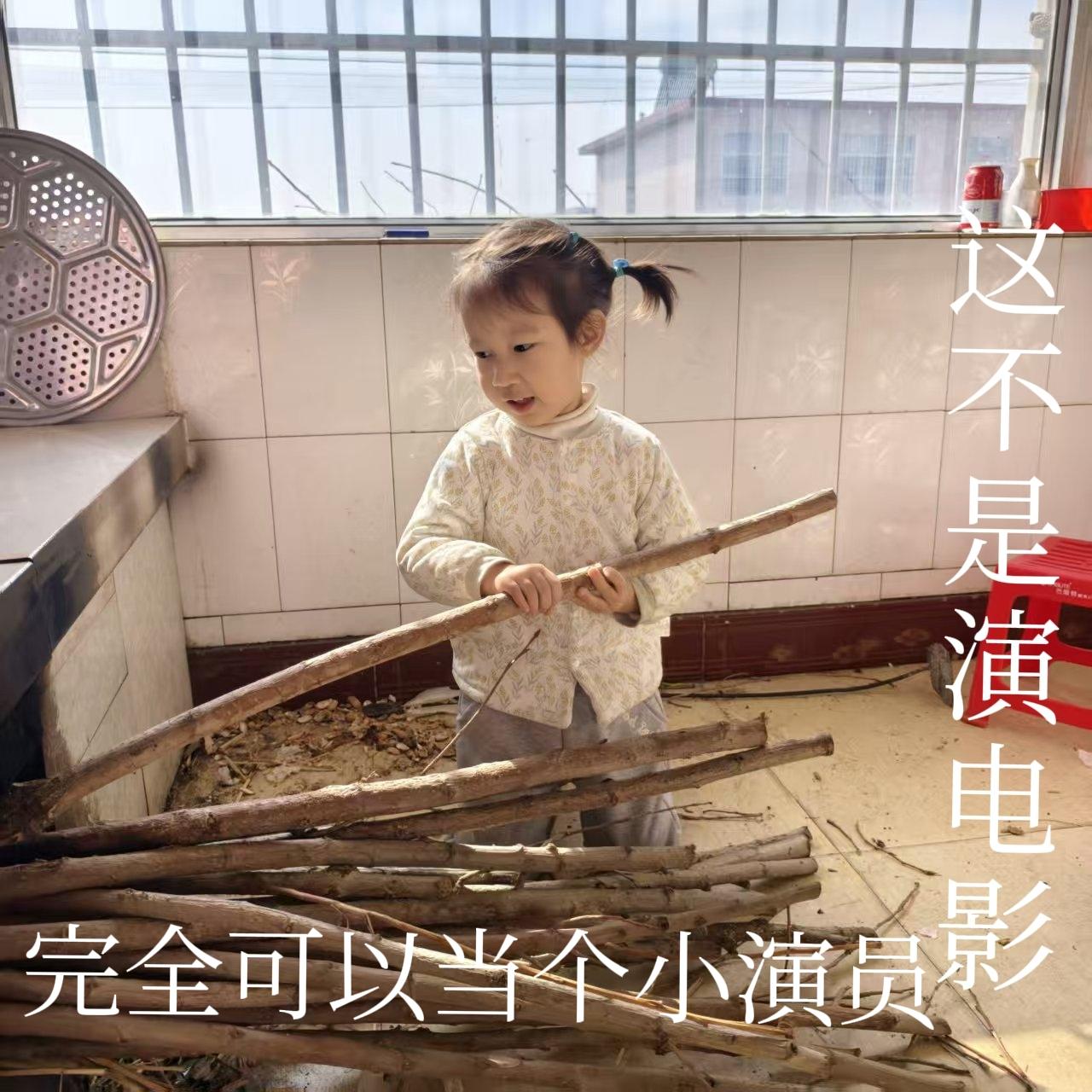 为给炉子添把柴！
       春节机器人上了热搜，为节后行情添了把柴_你怎么看