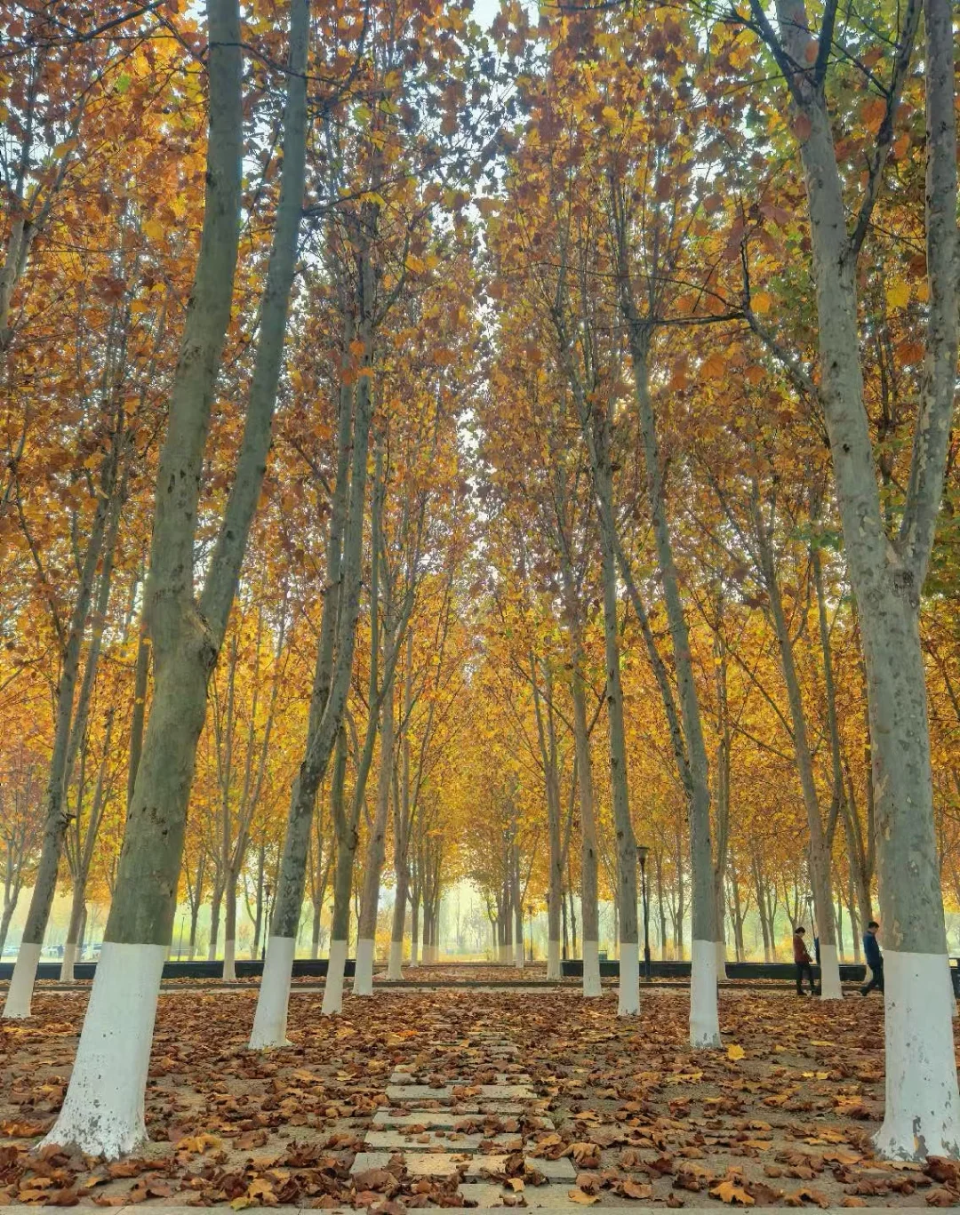 永远不要相信，命运能击垮一个有骨气的人