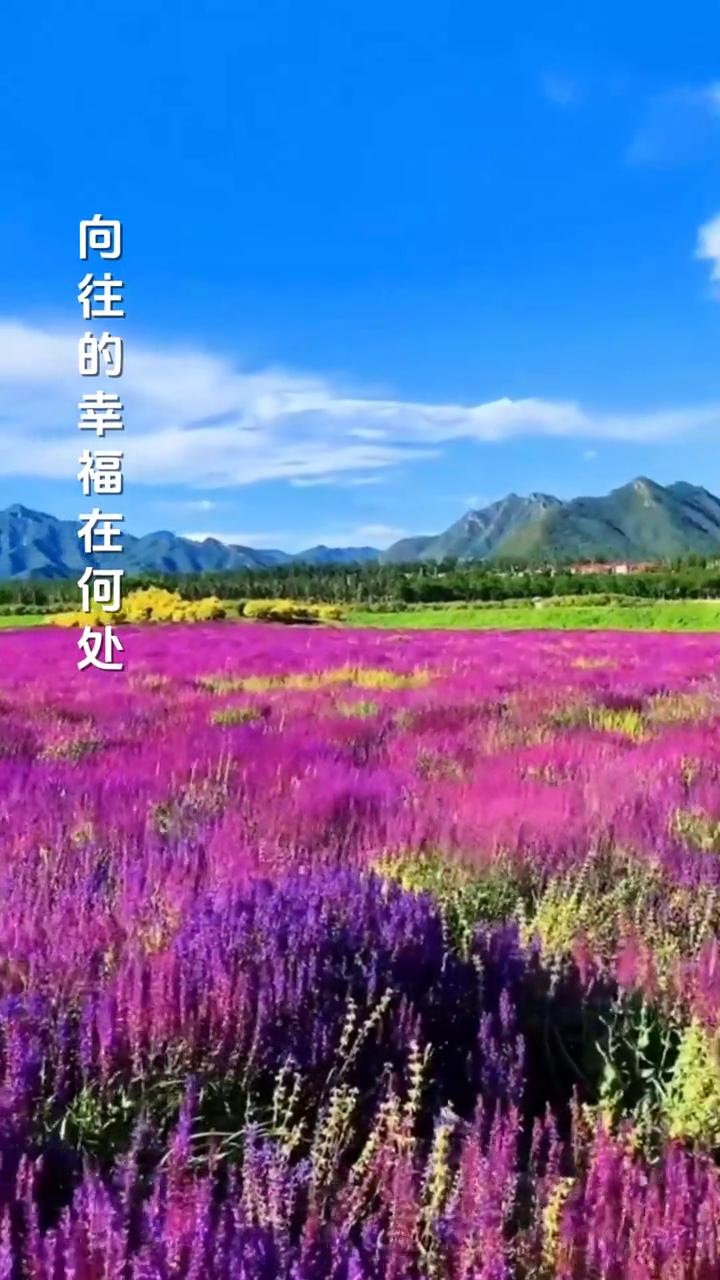 人生旅途。
演唱者：玺晨。
制片人：芙蓉传媒。
人生的旅途有人笑有人哭，匆忙这一