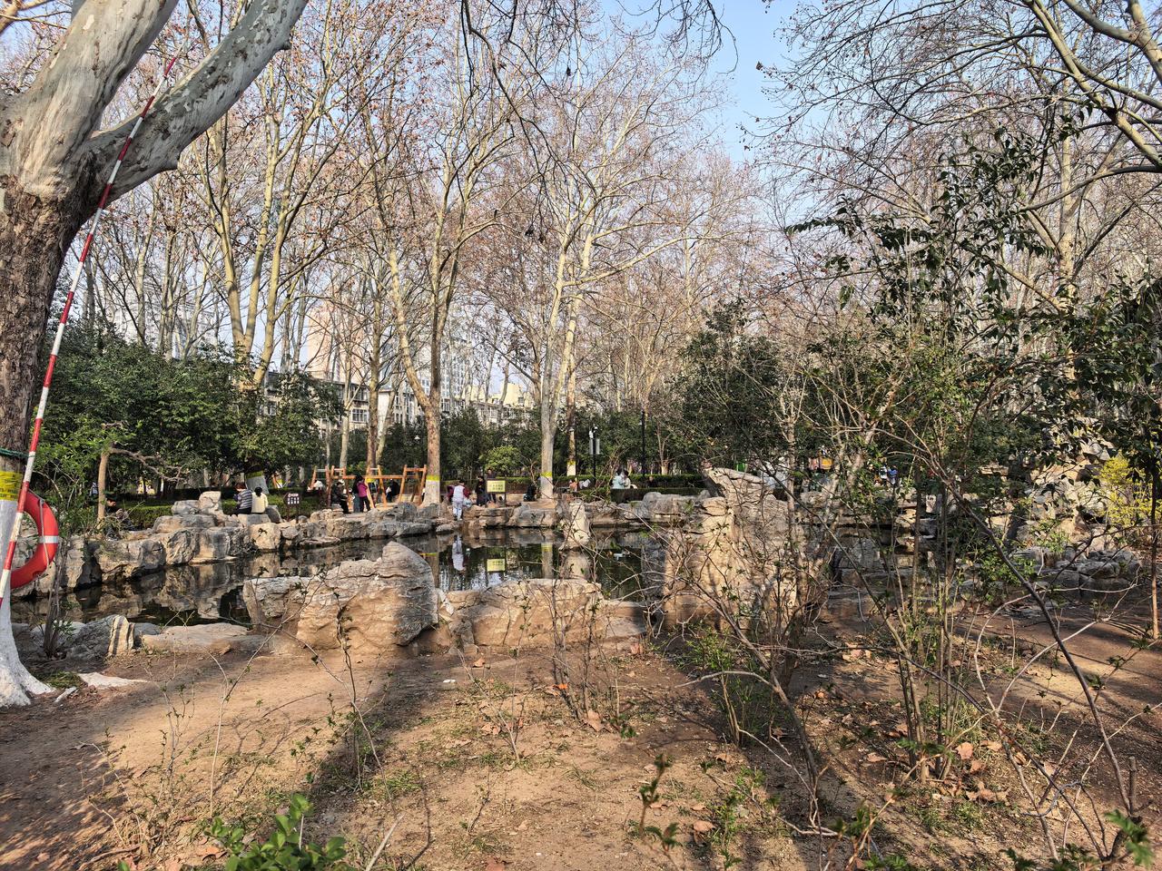 记录我的2026年年岁岁花相似，岁岁年年人不同。