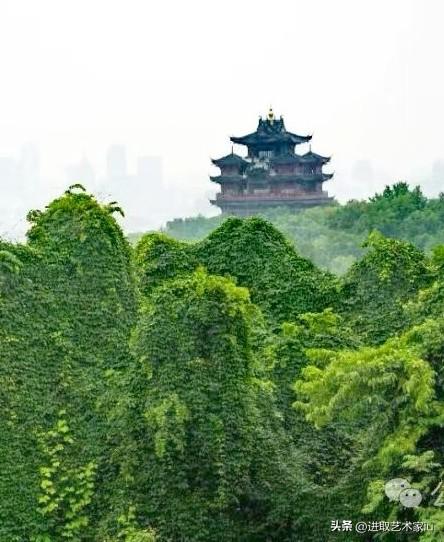周末出行去寻找吴山的绿野仙踪打卡处，杭州吴山“绿野仙踪”其实就在‌吴山景区内的积