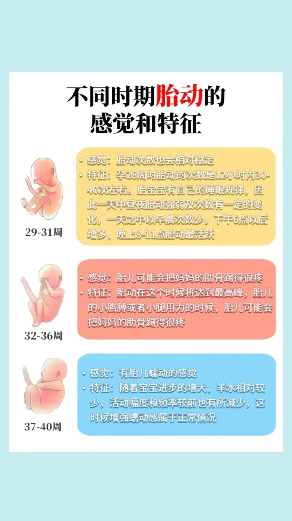 18周之后的准妈妈必看🙆‍♀️。孕期胎动感觉和注意事项大全❣️
