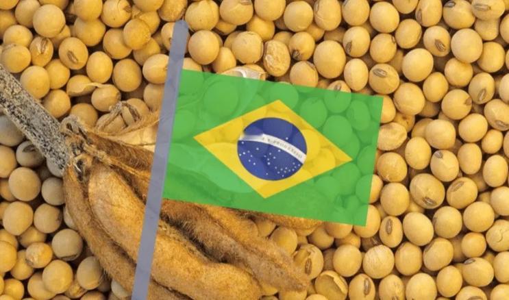 没有美国的命，别患美国的病。  
巴西以为购买你家的大豆，你就可以拿捏中国了，用