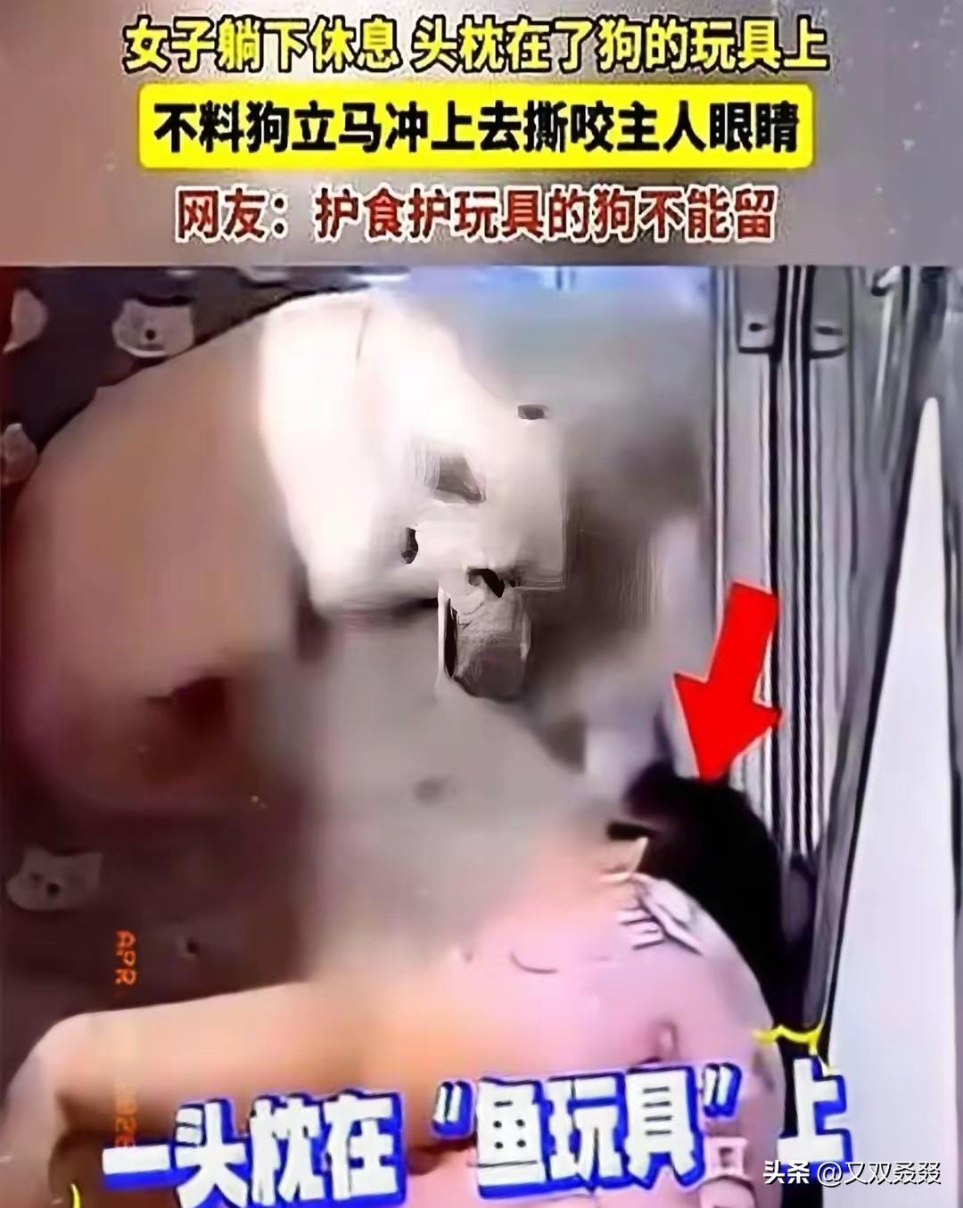 黑龙江一女子被自家宠物狗咬伤右眼导致失明，为治疗差点倾家荡产，而今人整个抑郁不敢