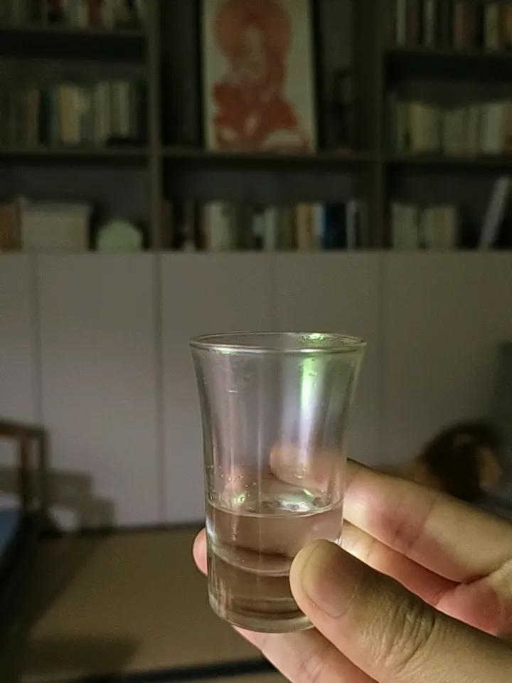 在乡下教书的那些年，我的书架上迟早放一瓶“马拉车”（西安特曲，因为以秦陵铜车马为