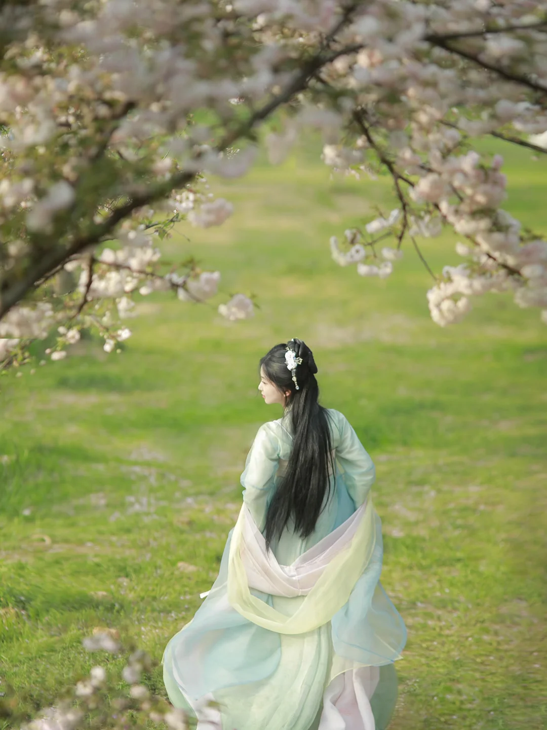 🌸春日宴，绿酒一杯歌一遍