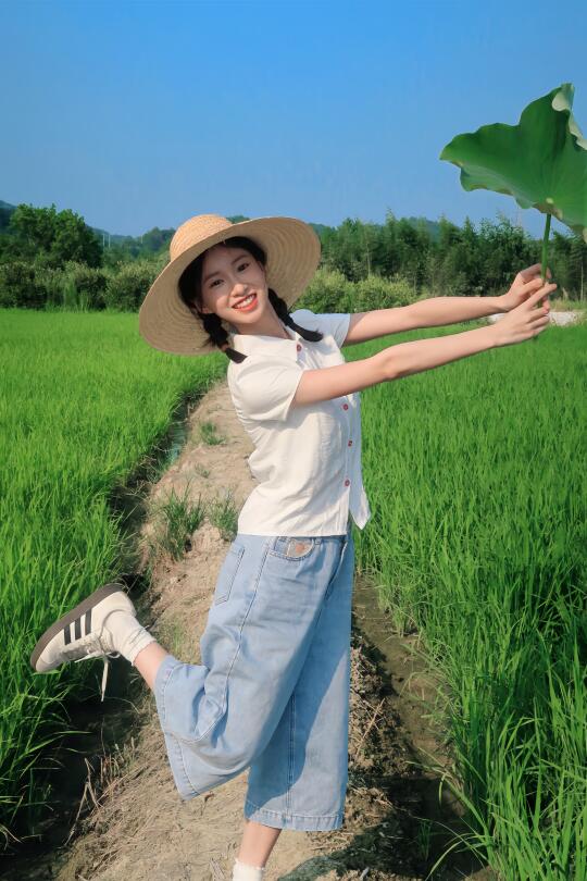 夏日稻田日记🌾