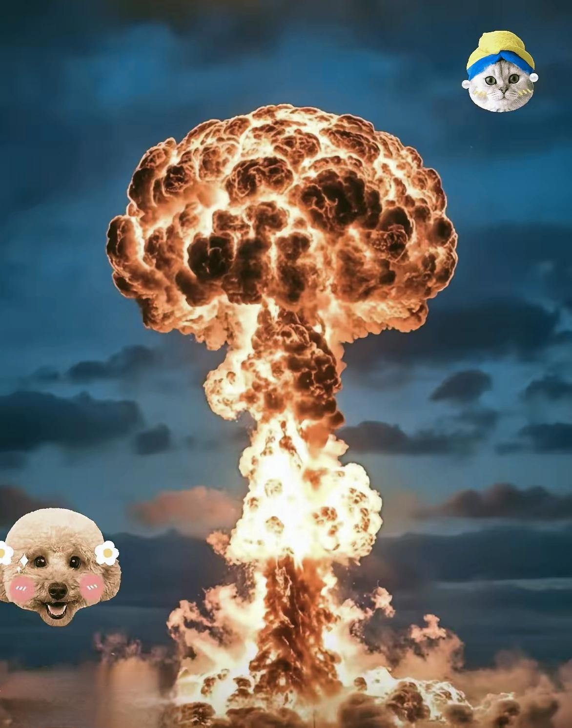 快讯！
​​俄罗斯突然宣布了
12月30日，俄国防部公布“榛树”导弹部队在白俄罗