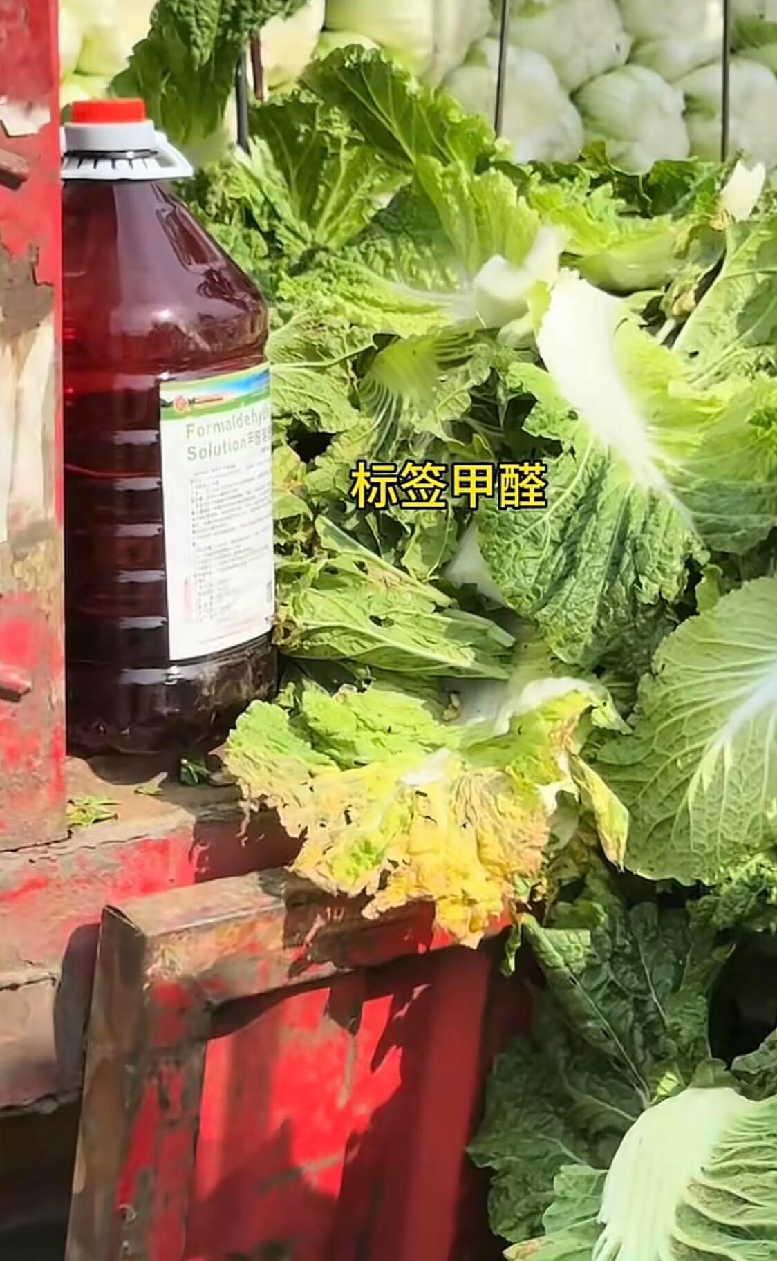 白菜蘸甲醛甲醛大白菜竟然是真的！！之前专家还辟谣白菜不会蘸甲醛，现在铁证如山，这