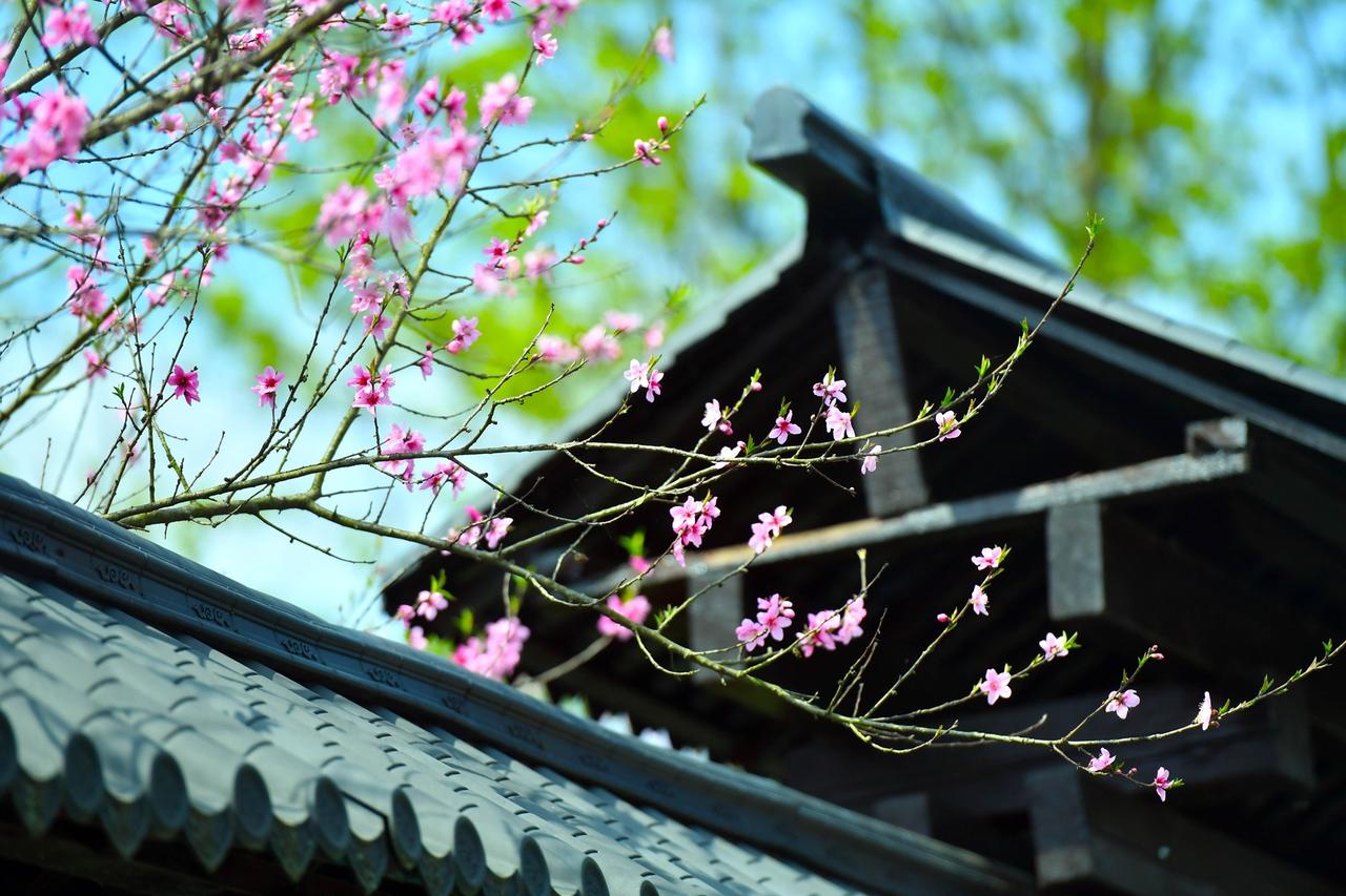 读《近思录》之3.37　

凡看《语》《孟》，且须熟玩味，将圣人之言语切己，不可