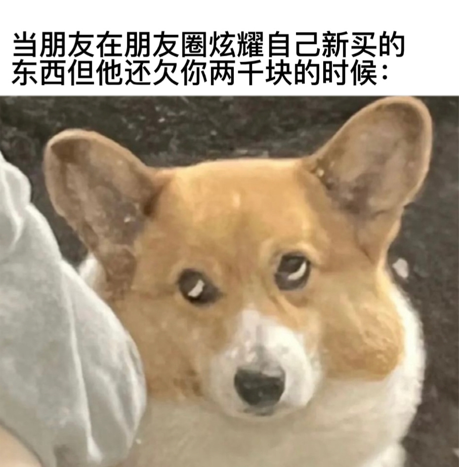 你是真的快乐吗#今日memes##趣过夏天# ​​​