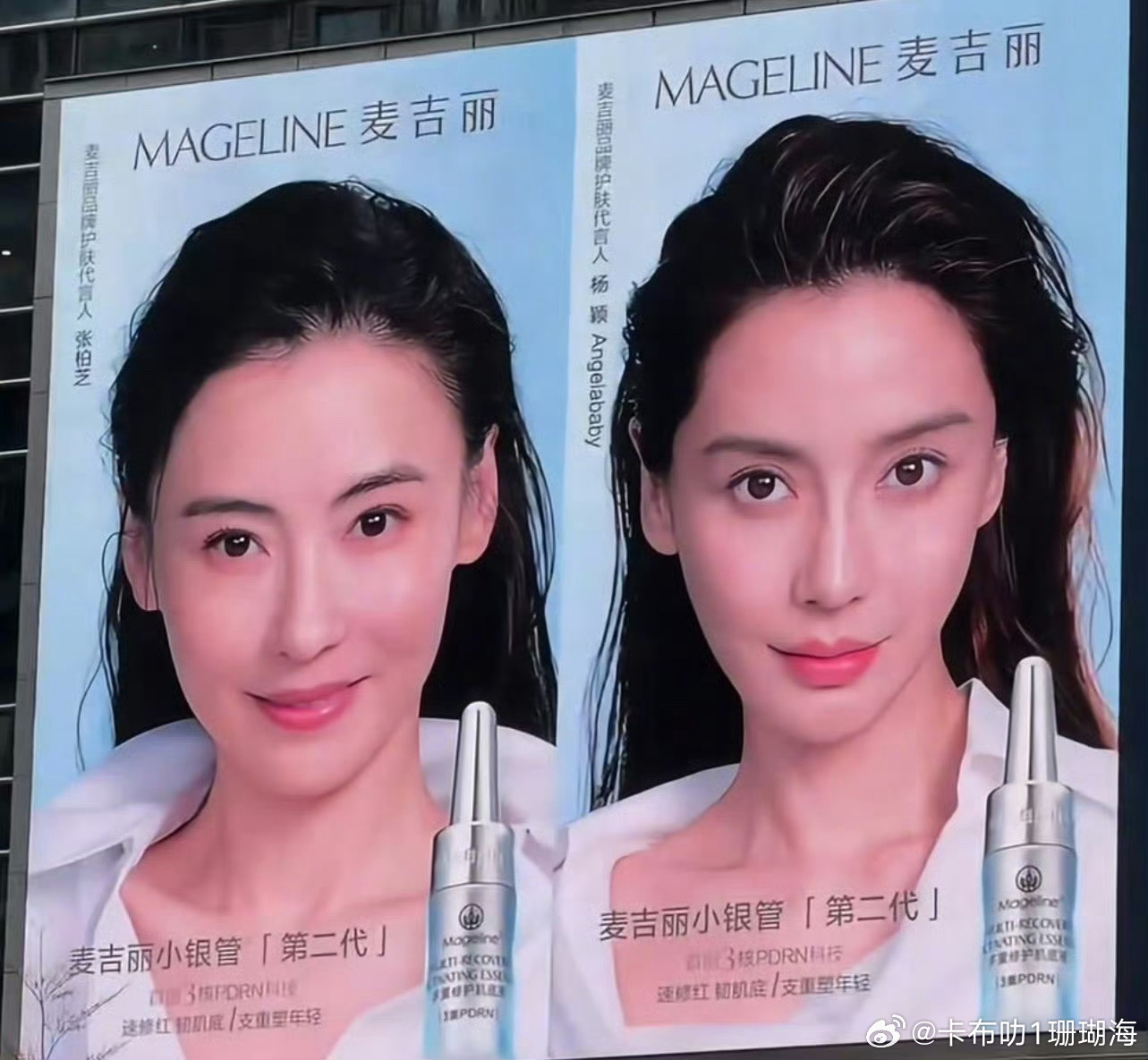 张柏芝、Angelababy同广告牌颜值都在线 