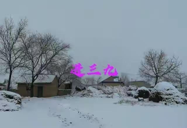 今日入三九！牢记“4不忌”：不饮酒、不过补、不吃冷、不用凉，健康过冬不遭罪
 