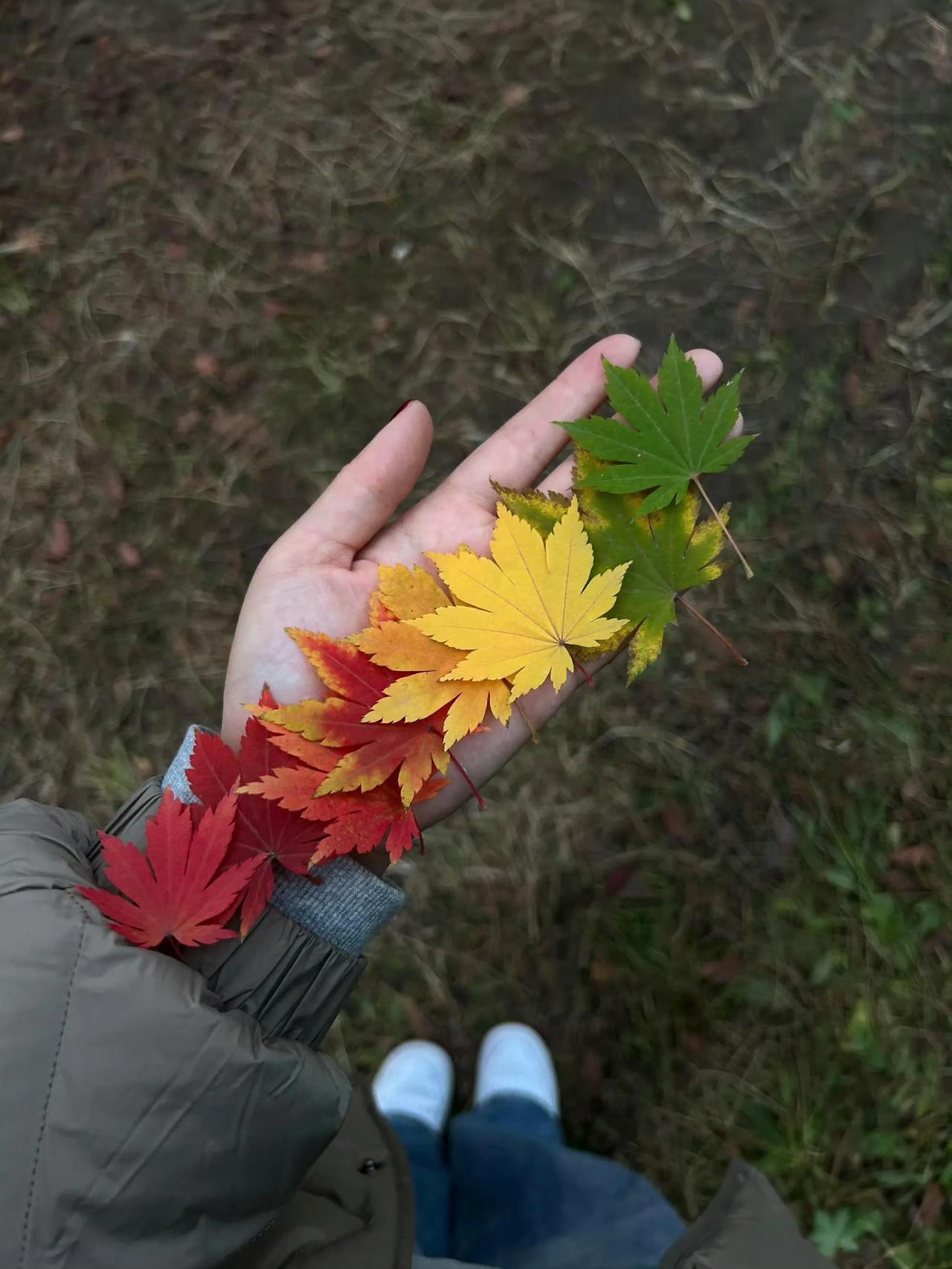 “你是我 藏在秋风里的喜欢” ᥫᩣᩚ
