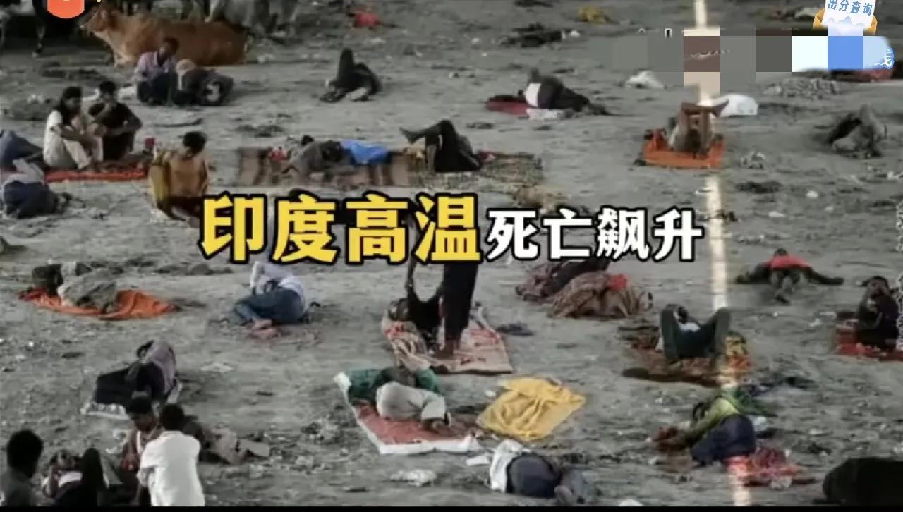 这就是印度，高温天天热死三千多人

现在的印度热得邪乎，看有关方面的数据就让人咋