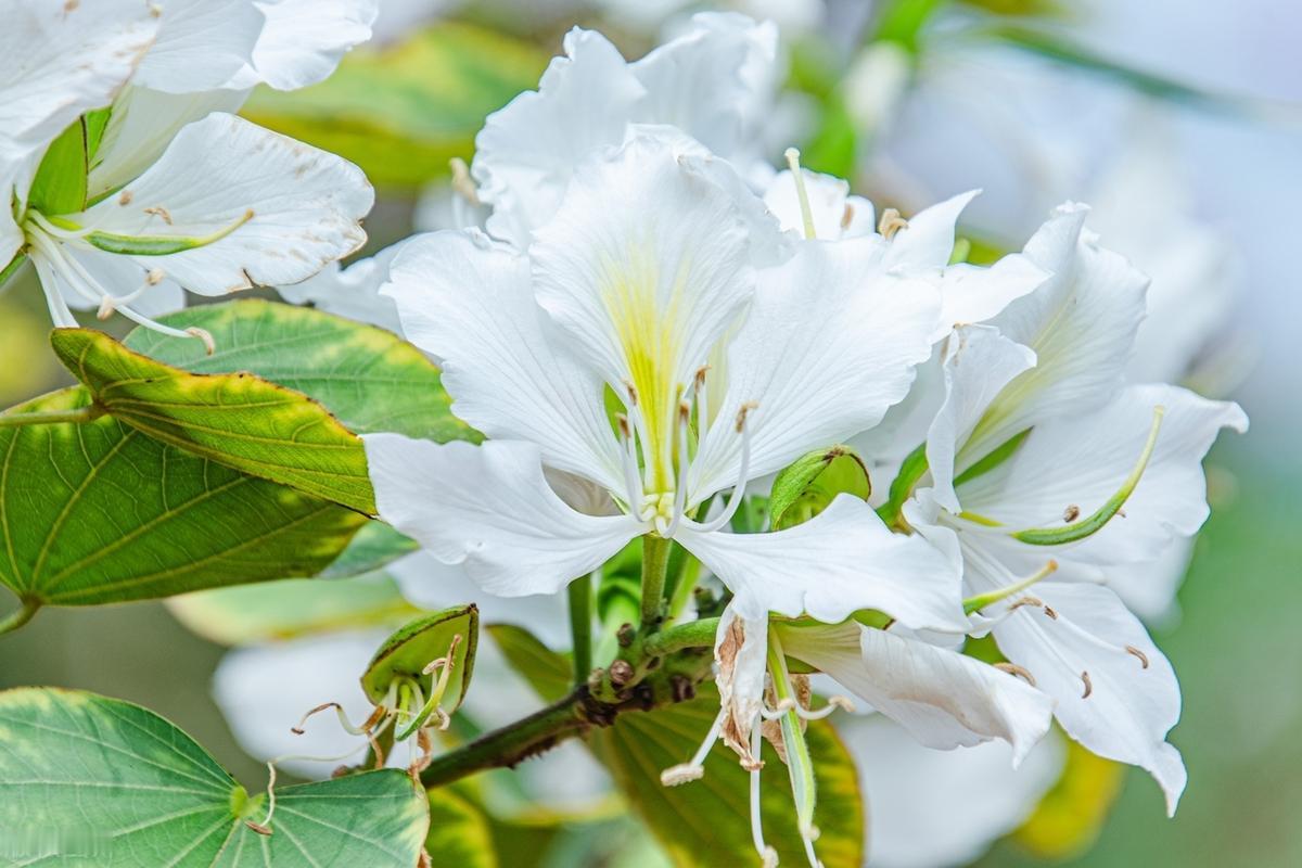 山有山的高度，水有水的深度，没必要攀比，风有风的自由，云有云的温柔，没必要模仿，