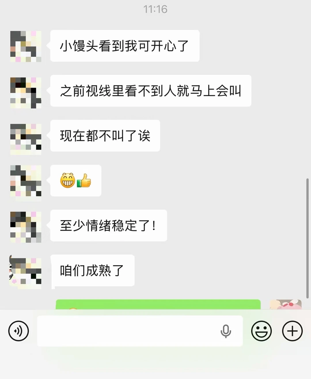 寄养反馈、情绪稳定了