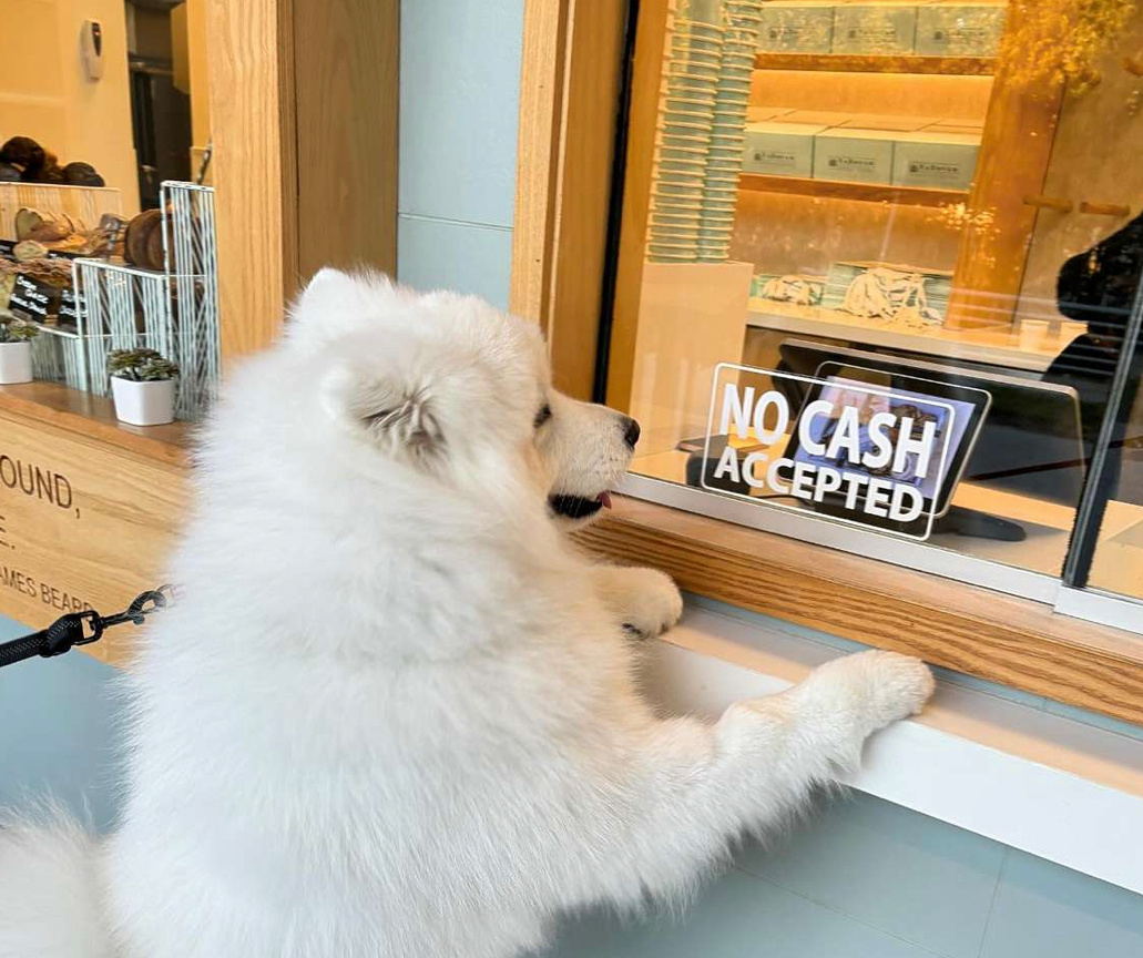 萨摩耶：你好，请问支持微笑支付吗？ 