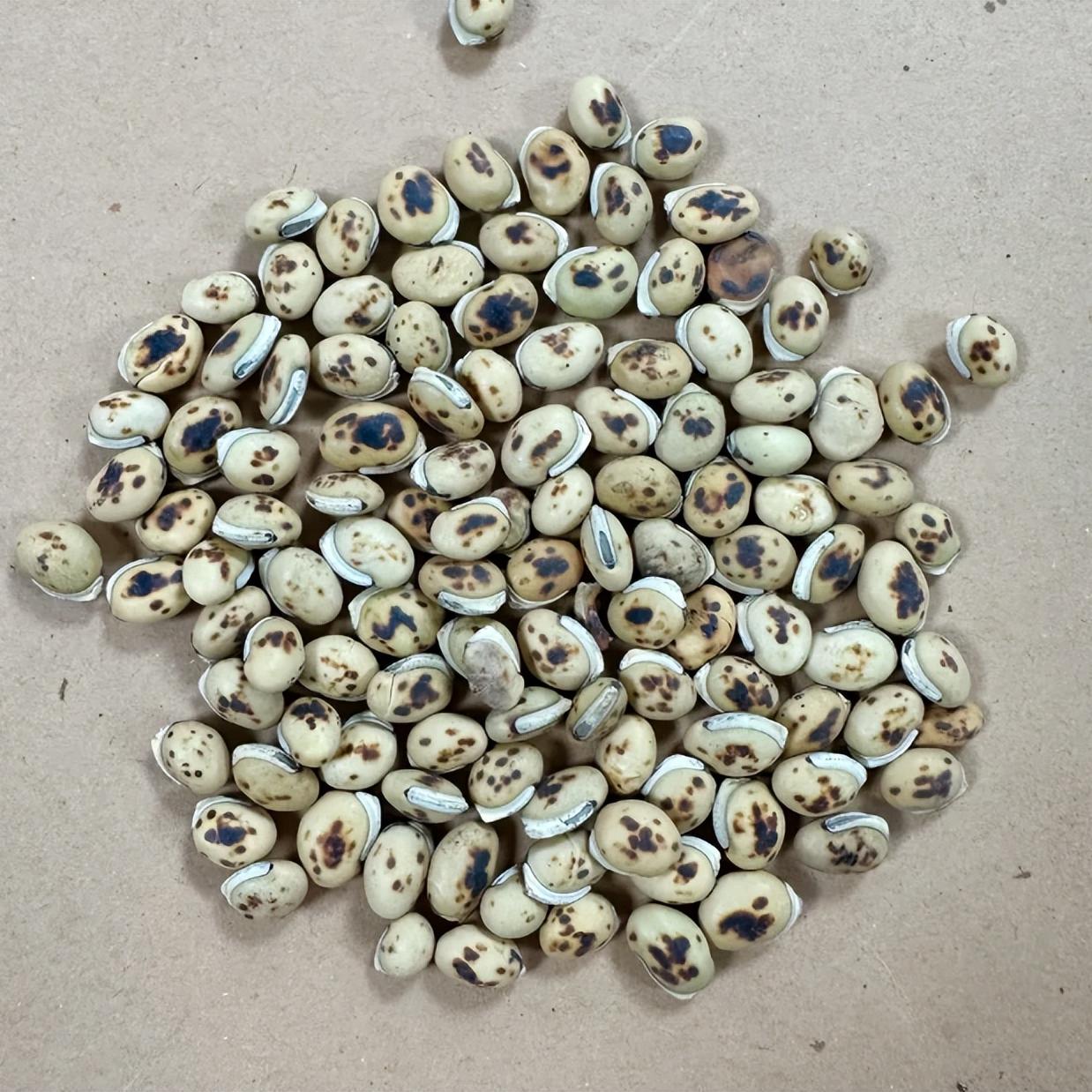 一个只给穷人的方子治阳痿早泄，不过几十块，比乱吃药少遭罪、没冤枉钱


从医 3