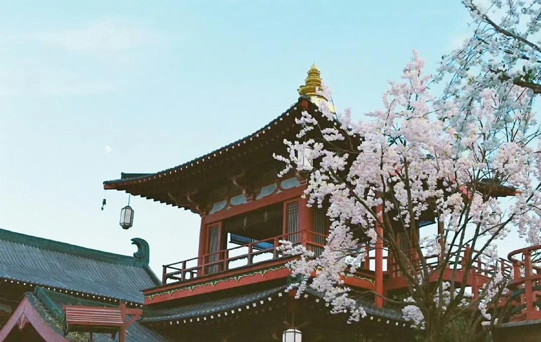 喜报来袭！白鹿饰演的角色叶璃个人热度成功突破亿级，人气实力一目了然✨
 
剧中角