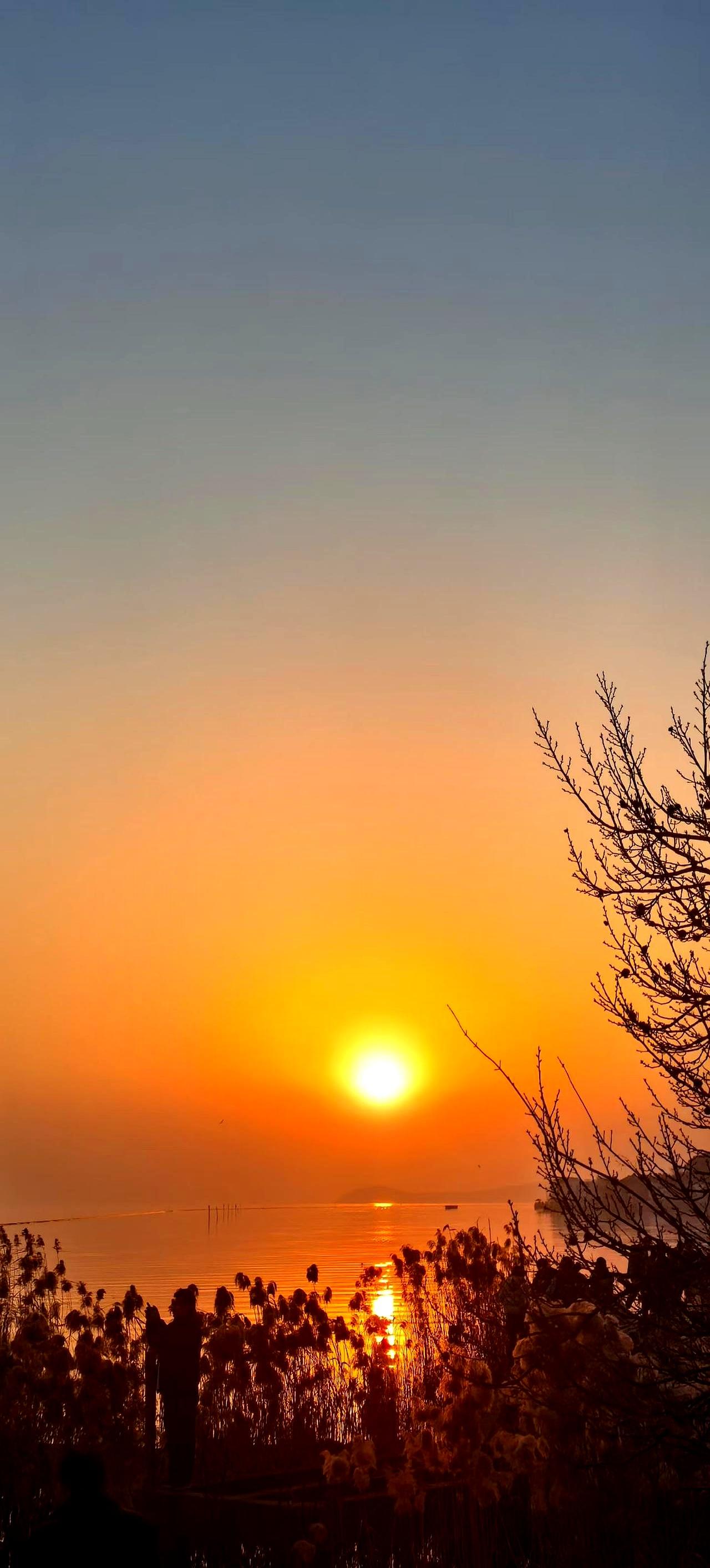 看到这段话，我没觉得甜，只觉得脊背发凉。
“偷偷的在一起”，多少成年人的把戏，裹