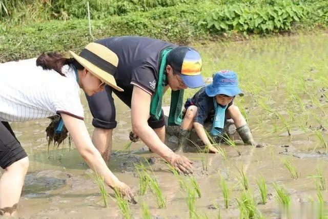 来讨论个话题：你认同孩子要见世面吗？
看过豪门夫妇霍启刚、郭晶晶带着孩子霍中曦在