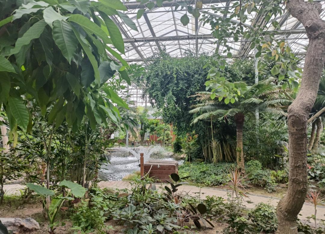 到植物园中看看。到植物园里看看平时不常见的植物，还是挺能引发好奇心的。让我不太满