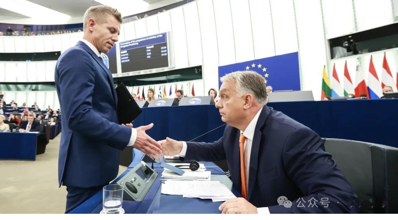 匈牙利新总理会是谁局势变幻莫测，鹿死谁手未可知，谁敢断定欧尔班不会王者归来？离投