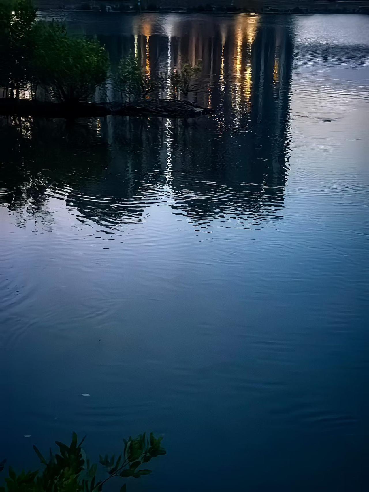 一张照片晒晒你家门前的风景