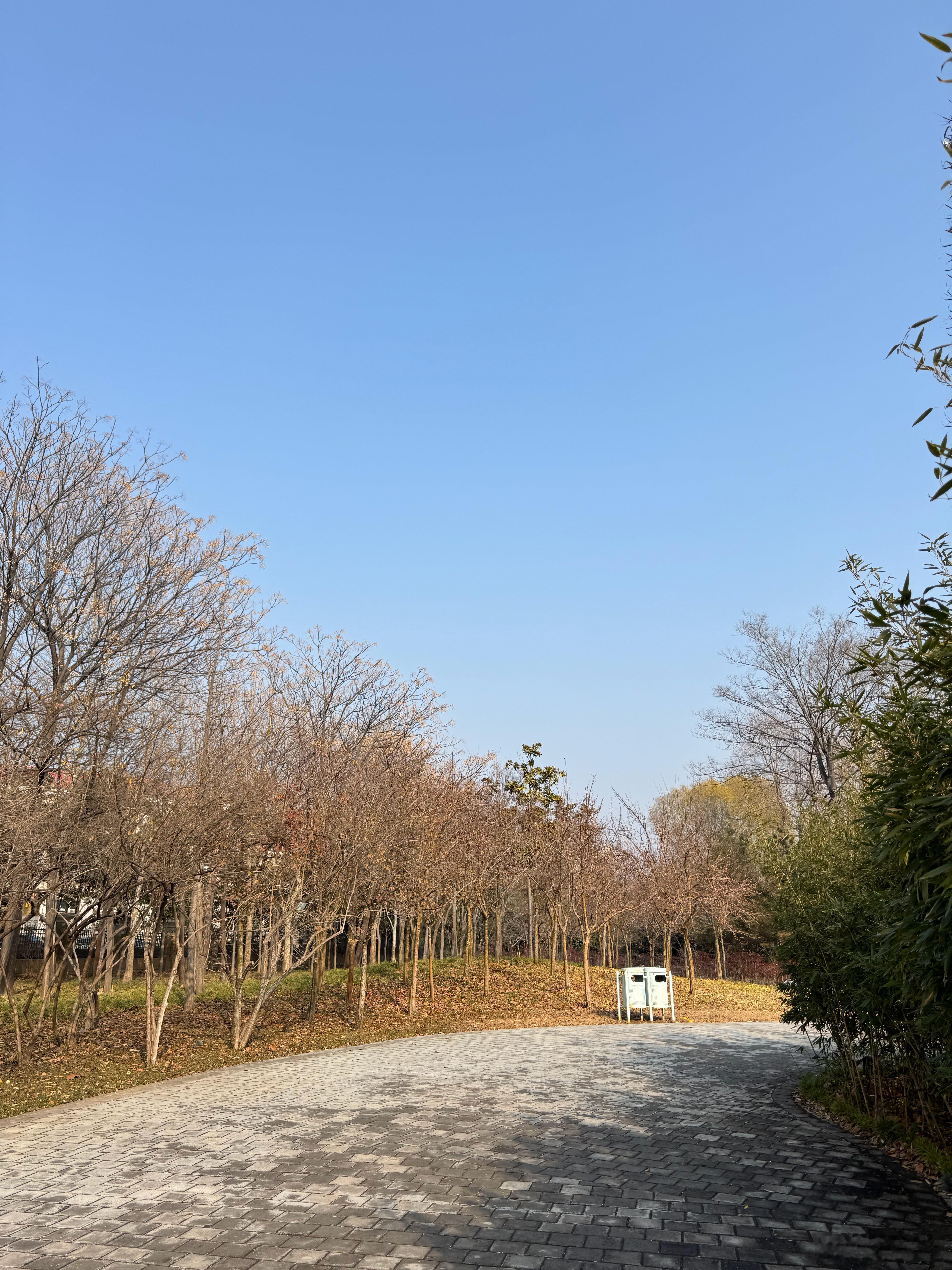 跑步 终于回到了家门口的跑道上，完成了期待已久的5000米跑步，配速达到了7:5