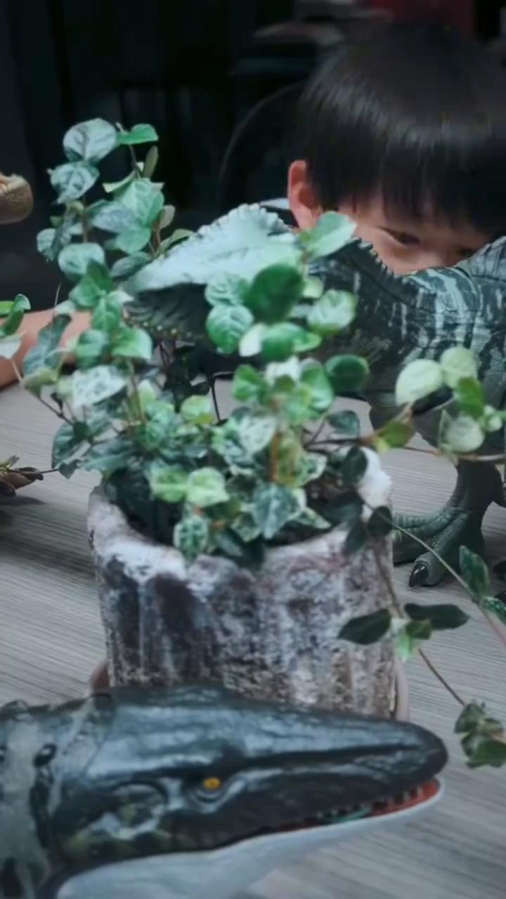 太危险了。
