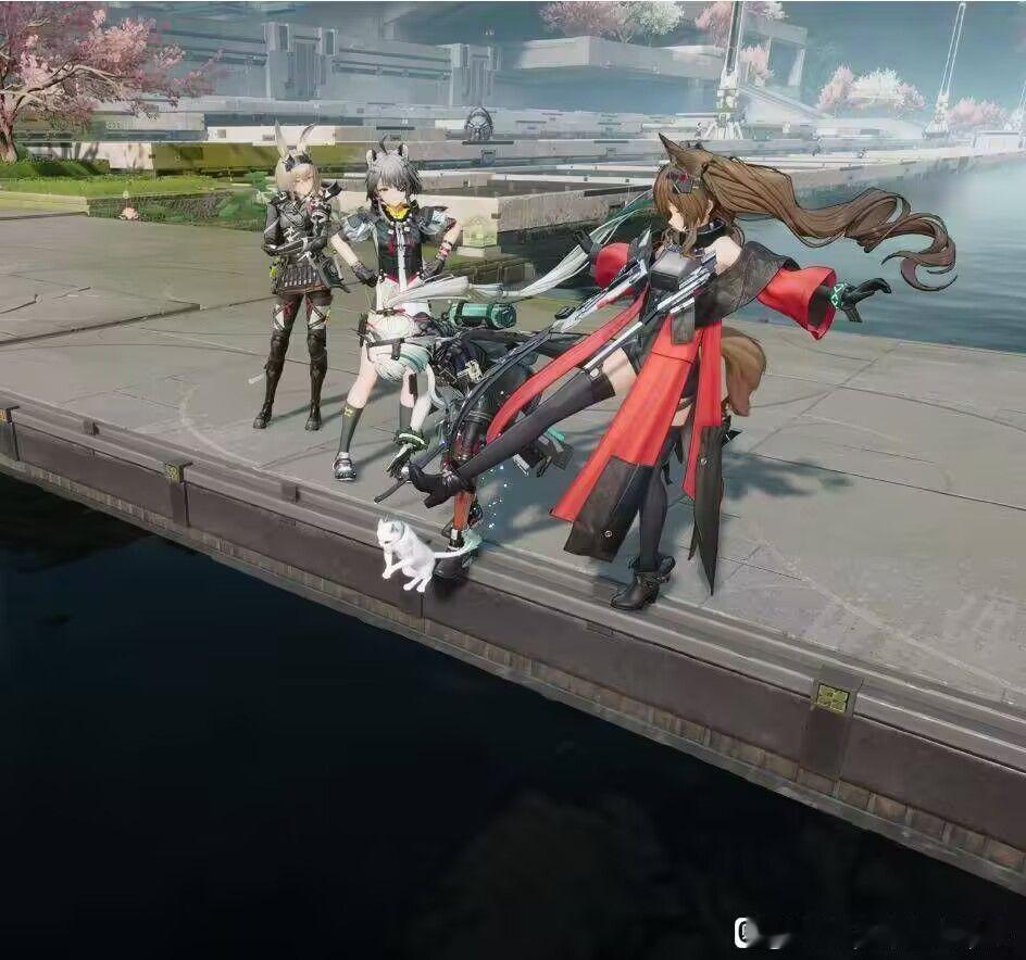 略🐱区 