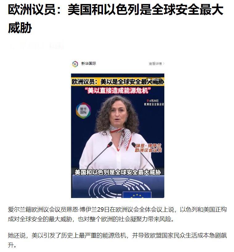 当地时间 4 月 29 日，爱尔兰籍欧洲议会议员琳恩・博伊兰在欧洲议会全体会议上