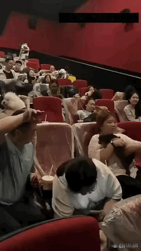 这是电影院吗？
怎么还有人带着宠物一起观看的，这狗子要是在里面叫了，那会不会影响