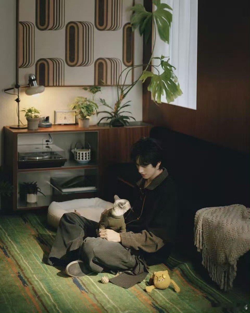 许魏洲完全是猫系啊 当许魏洲和他的猫同框，画面会自动生成“猫科家族年鉴”。一个矜