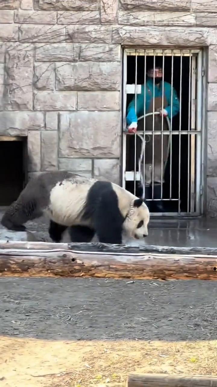 如果不是亲眼所见我是万万不敢相信。赶紧进去吧，在这。