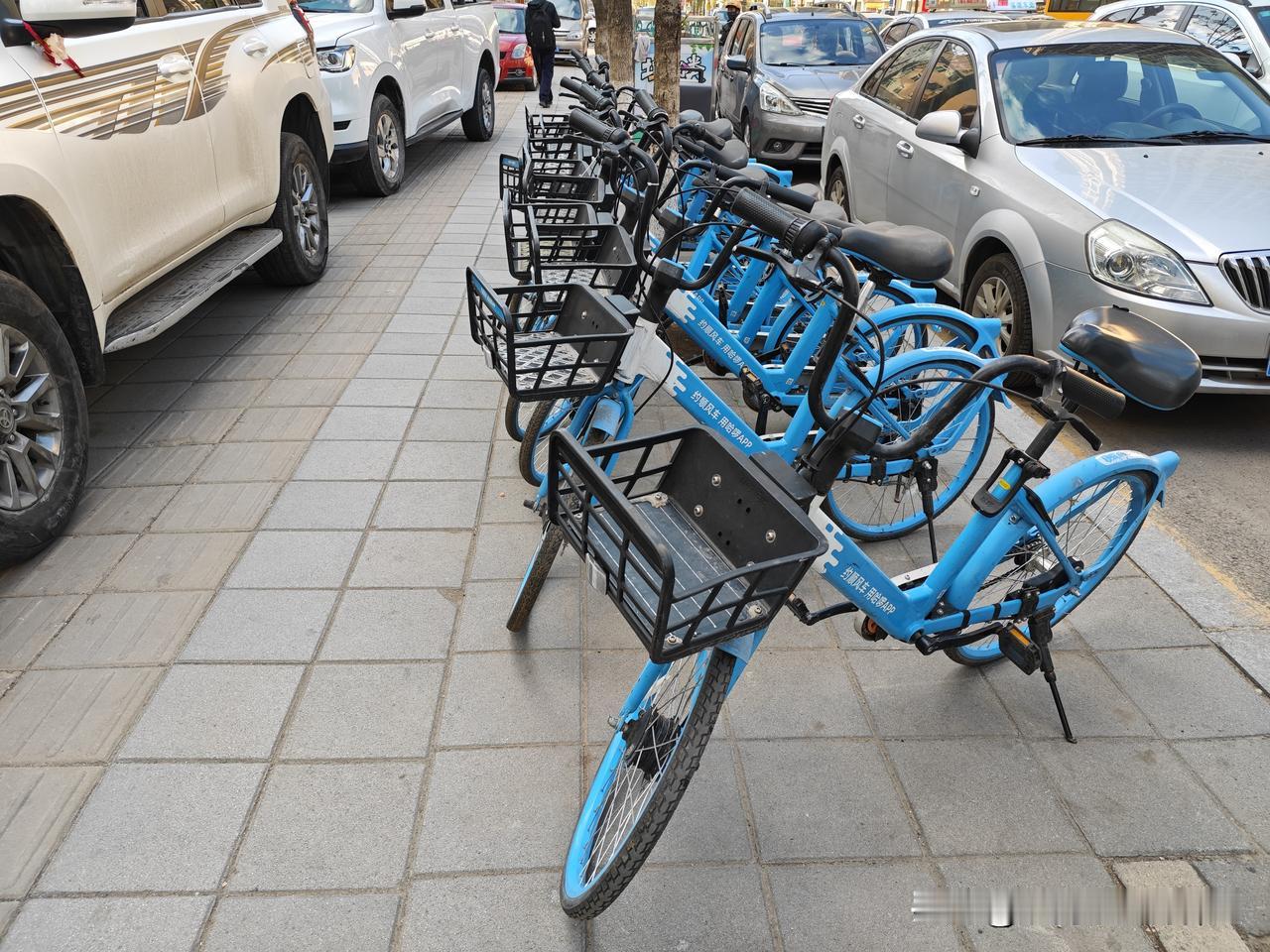 共享单车再次登陆我大本溪
        还是在前几天，我行走在我大本溪平山路与