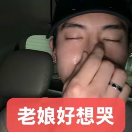 老娘好想哭 